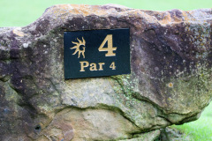 SAIA-Nashville-Golf-Tournament-2026-102
