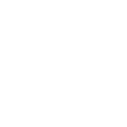 Lounge Chair